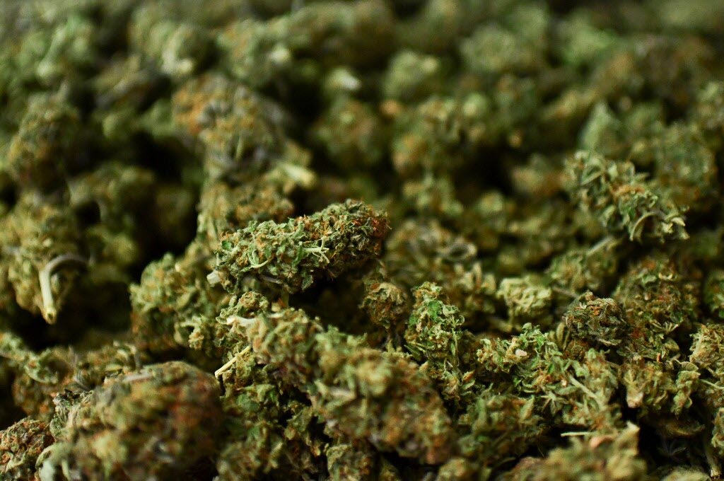 FLEUR (CBD)